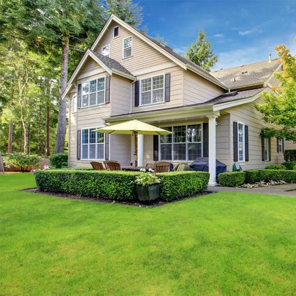 All Seasons Evergreen Grass Seeds (Buy 1 Get 1 Free)