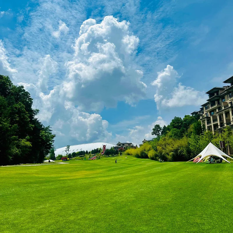 All Seasons Evergreen Grass Seeds (Buy 1 Get 1 Free)