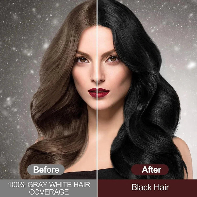 3-in-1 Black Hair Dye Shampoo