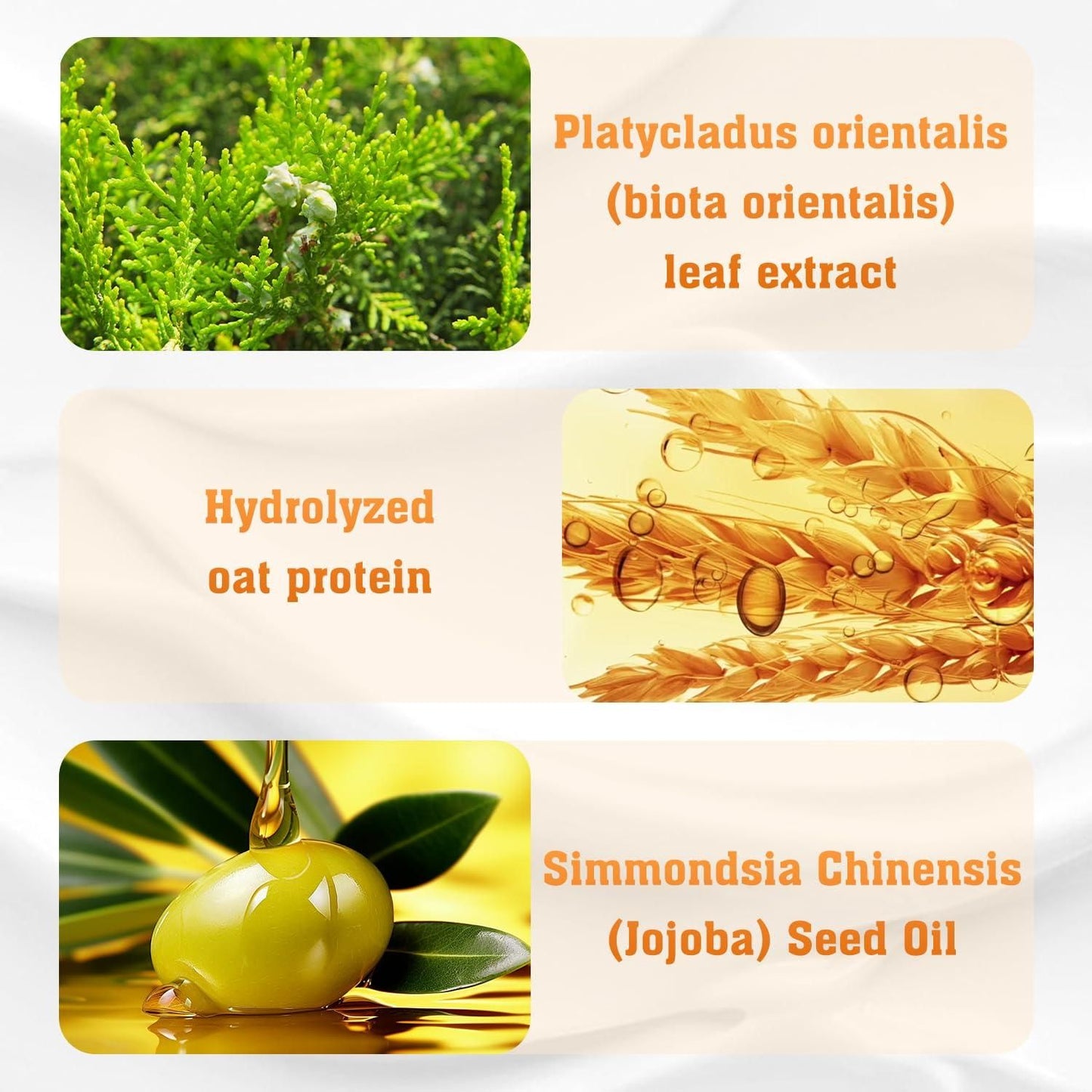 Japanese Natural Anti-Hair Fall Shampoo (Buy 1 Get 1 Free)