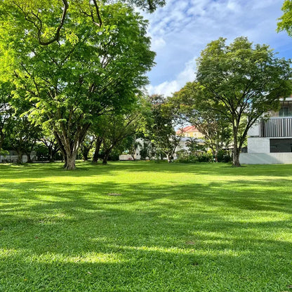 All Seasons Evergreen Grass Seeds (Buy 1 Get 1 Free)