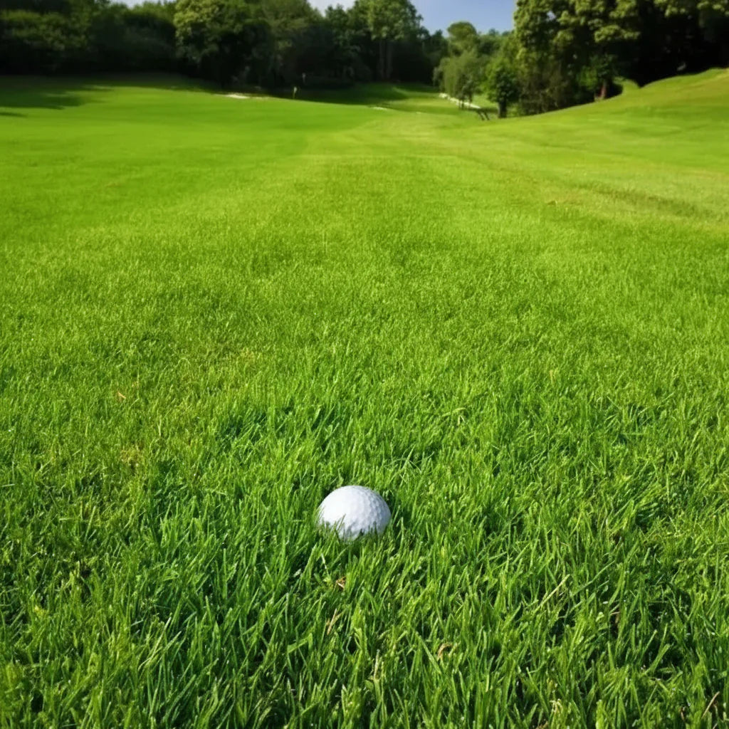 All Seasons Evergreen Grass Seeds (Buy 1 Get 1 Free)