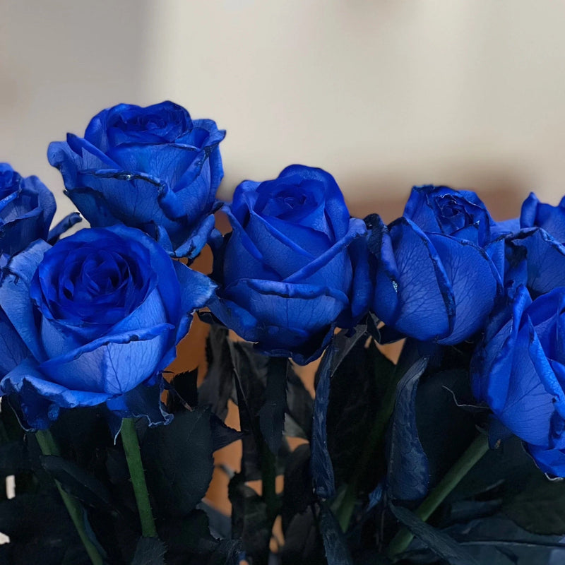 Blue Enchantress Climbing Rose Seeds