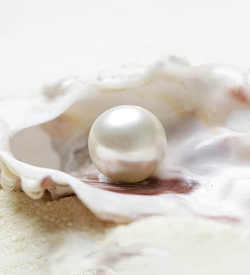 Original Sea Pearl Pendent (Get Earrings And Chain Free)