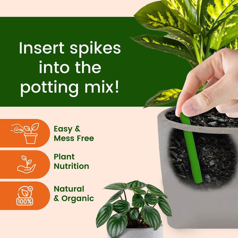 Dr. Green's - Plant Magic Sticks (Buy 1 Get 2 FREE)