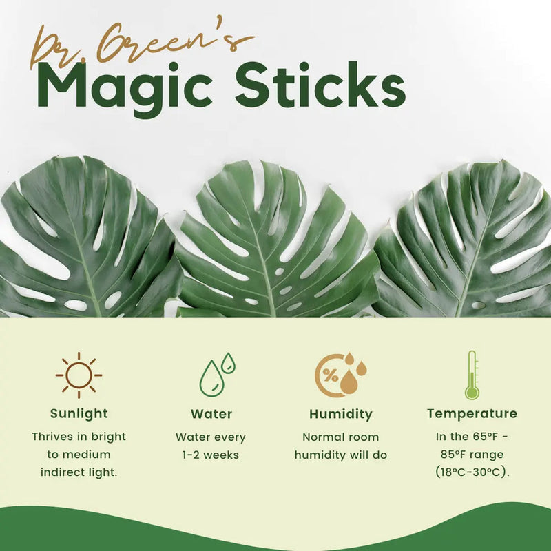 Dr. Green's - Plant Magic Sticks (Buy 1 Get 2 FREE)