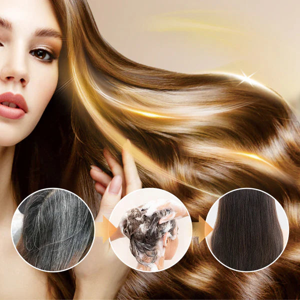 Japanese Long Lasting Natural Hair Dye Shampoo (Buy 1 Get 1 Free)